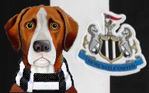 Newcastle United News Hound